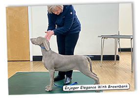 Enjager-Elegance-With-Brownbank-Zoe