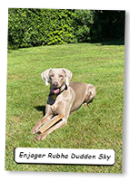 Enjager-Rubha-Duddon-Sky