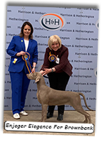 Enjager-Elegance-For-Brownbank