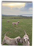 Enjager-Girls-Out-For-A-Walk