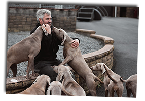 Me-And-My-Enjager-Weimaraner-Girls